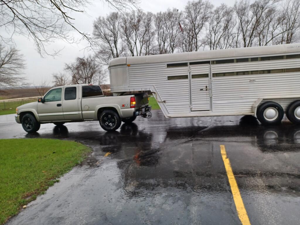 transportation truck for dead horse